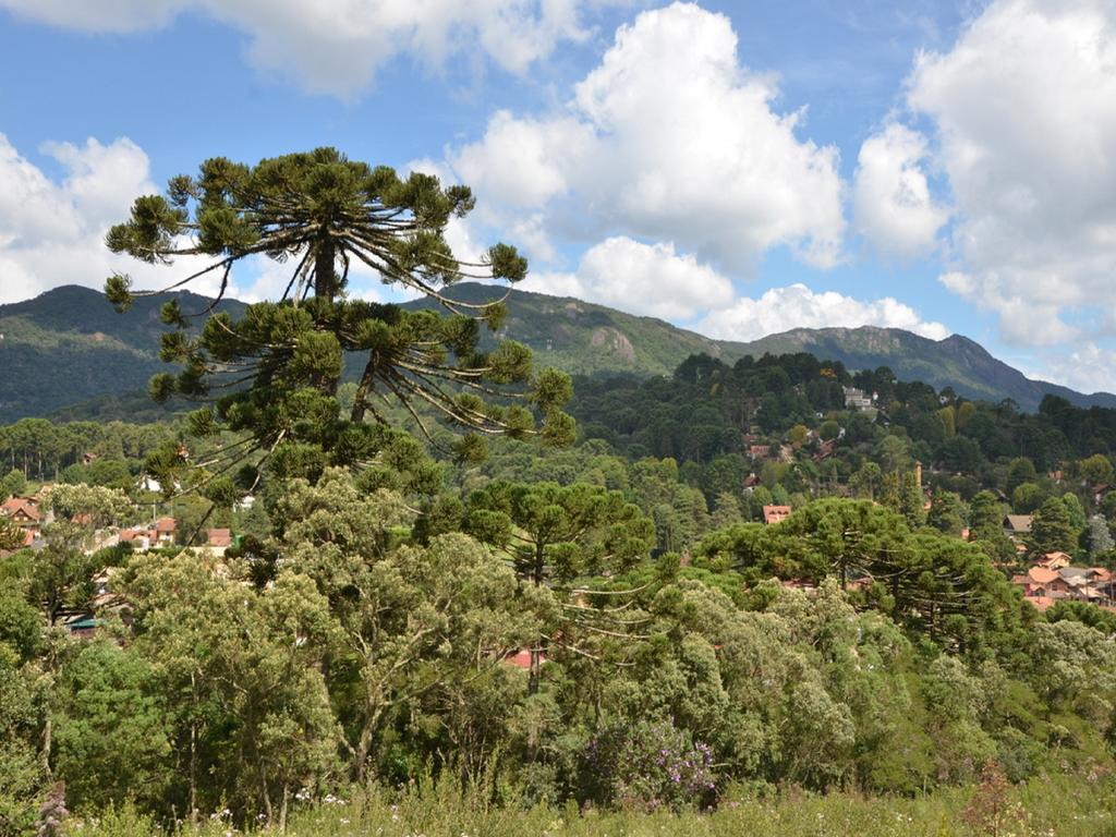 Green Village Hotel Monte Verde  Dış mekan fotoğraf